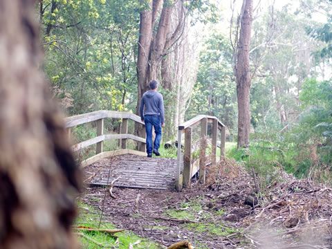 Margate Rivulet Track | Greater Hobart Trails