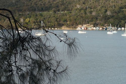 Cornelian_Bay_002.jpg